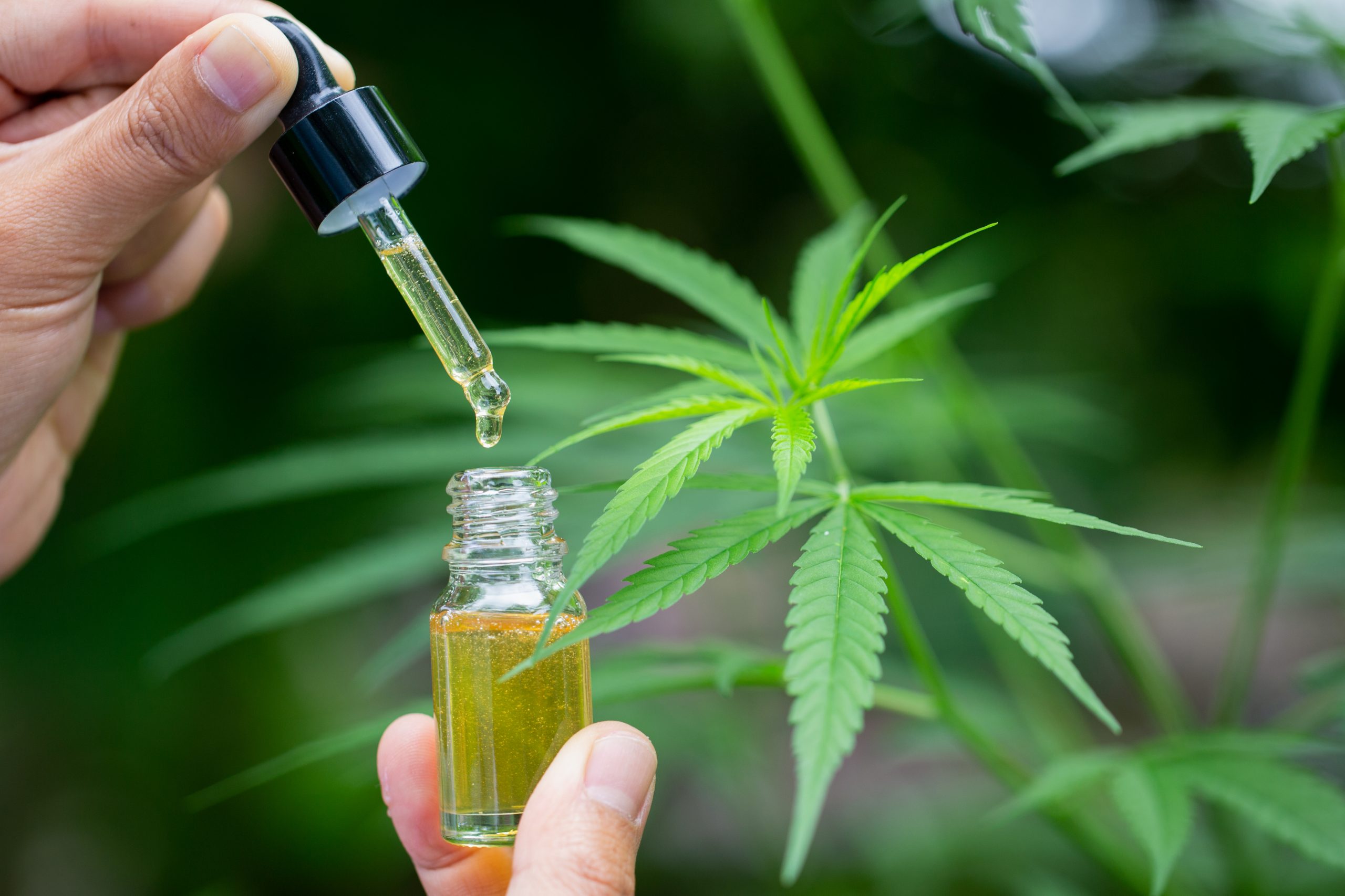 How Does CBD For Anxiety Work?