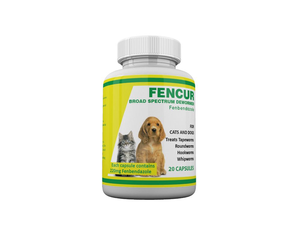 Fenbendazole Cancer Treatment