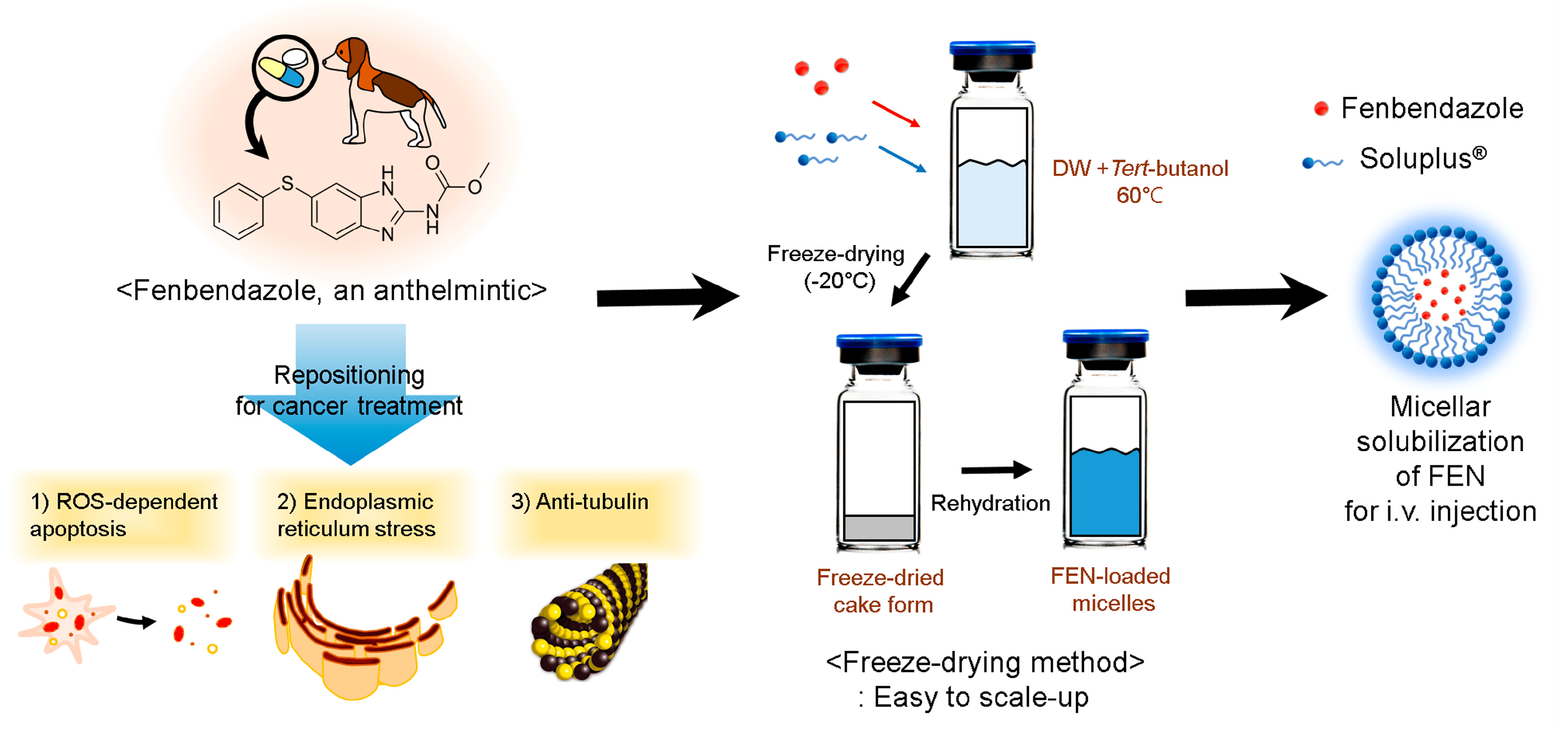 Can Fenbendazole Be Used As a Cancer Treatment Drug?