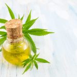 How to Find the Best CBD For Cats