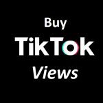 The Power of TikTok Views