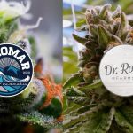 The Ultimate Guide to the Best Extracts Online in Canada