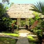Discovering Paradise: The Allure of Belize Jungle Hotels