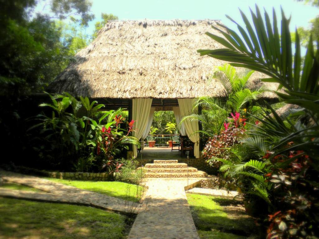 Discovering Paradise: The Allure of Belize Jungle Hotels