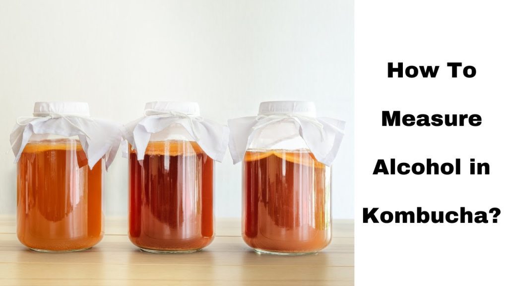 L’Univers du Kombucha : Une Boisson Fermentée Pleine de Bienfaits